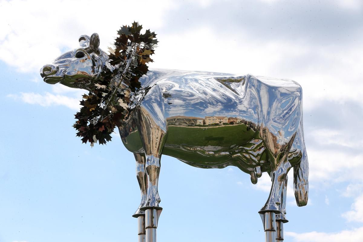 مجسمه برنجی گاو